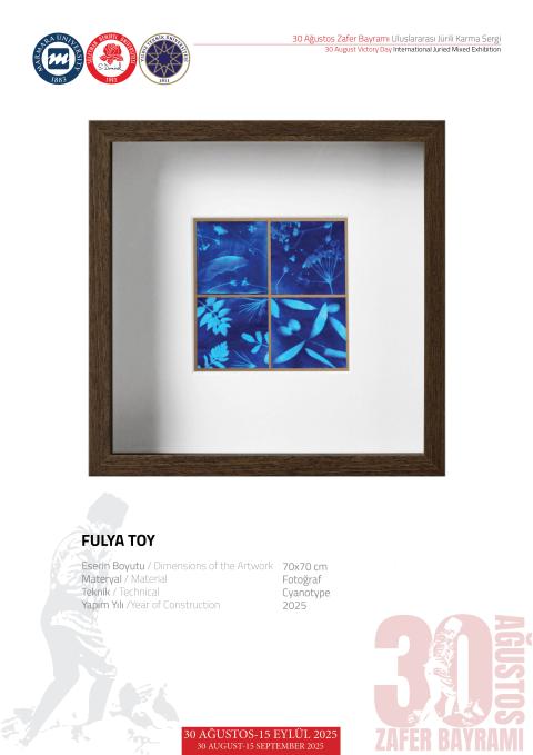 FULYA TOY